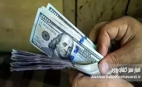 جراحی در اوج التهاب؛ چرا حذف ارز ترجیحی در این مقطع خطای پرهزینه است؟