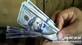 جراحی در اوج التهاب؛ چرا حذف ارز ترجیحی در این مقطع خطای پرهزینه است؟