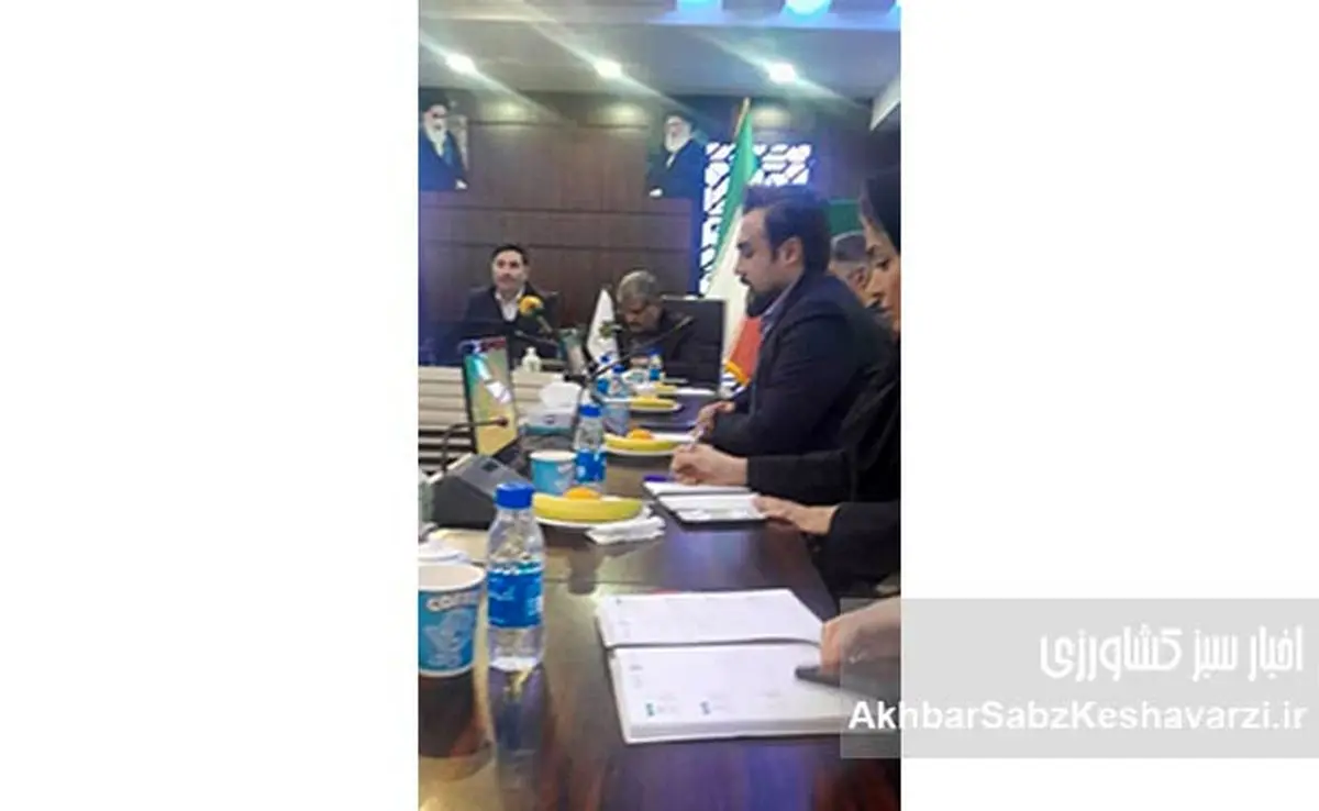 آغاز رونمایی از طرح فراگیر بیمه گندم در نشست خبری صندوق بیمه کشاورزی