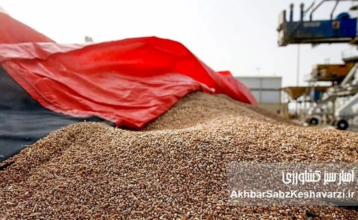 کشف انبار پنهان نهاده‌های دامی و جریمه ۲۷ میلیارد تومانی برای گران‌فروشی و امتناع از عرضه جو وارداتی