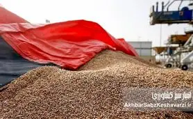 کشف انبار پنهان نهاده‌های دامی و جریمه ۲۷ میلیارد تومانی برای گران‌فروشی و امتناع از عرضه جو وارداتی