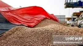 کشف انبار پنهان نهاده‌های دامی و جریمه ۲۷ میلیارد تومانی برای گران‌فروشی و امتناع از عرضه جو وارداتی