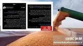 بحران ذخایر استراتژیک کشور؛ ناکارآمدی وزارت جهاد کشاورزی و گروگان‌گیری معیشت مردم