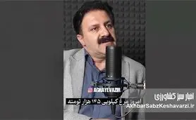 کابوس «بازارگاه»: چگونه رانت دولتی قیمت مرغ را از ۷۴ به ۱۴۵ هزار تومان رساند؟+ویدئو