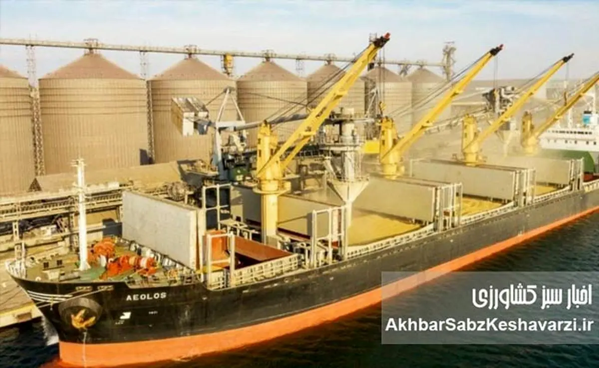 خالی‌فروشی نهاده‌ها؛ ۸ کشتی نهاده دامی «وجود خارجی نداشت»