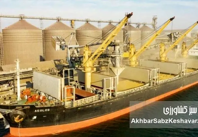 خالی‌فروشی نهاده‌ها؛ ۸ کشتی نهاده دامی «وجود خارجی نداشت»