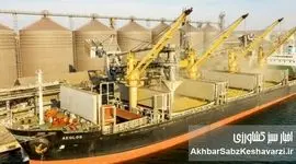 خالی‌فروشی نهاده‌ها؛ ۸ کشتی نهاده دامی «وجود خارجی نداشت»