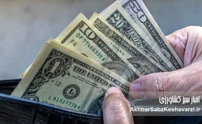 نوسان شبانه قیمت دلار با شایعات مذاکرات؛ جهش ۸هزارتومانی در یک ساعت