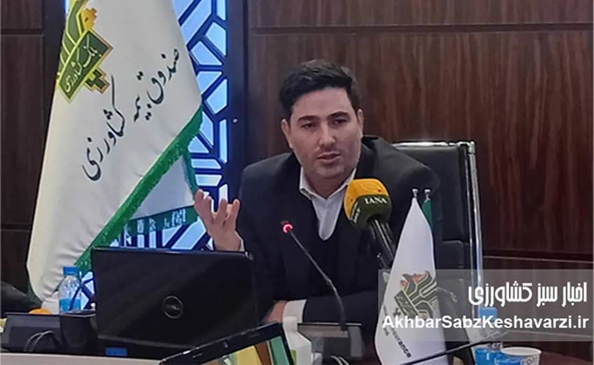 دکتر باباخانی: طرح بیمه فراگیر گندم وارد مرحله اجرای ۱۴۰۵ شد