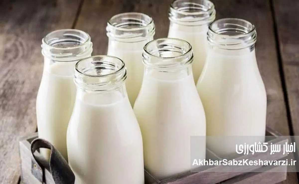 شوک جدید لبنیاتی؛ قیمت شیر اصلاح می‌شود؟