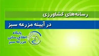 کارنامه کشاورزی؛ رونق در تولید، آشفتگی در بازار