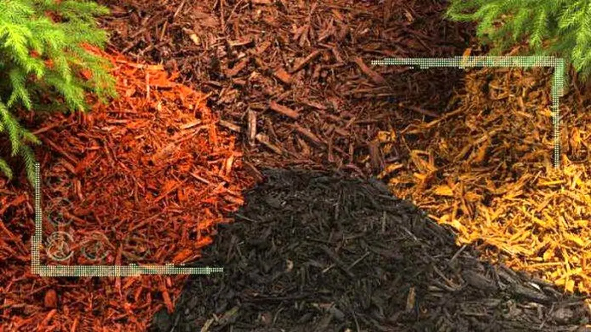 جلوگیری از رشد علفهای هرز با مالچ پاشی باغچه