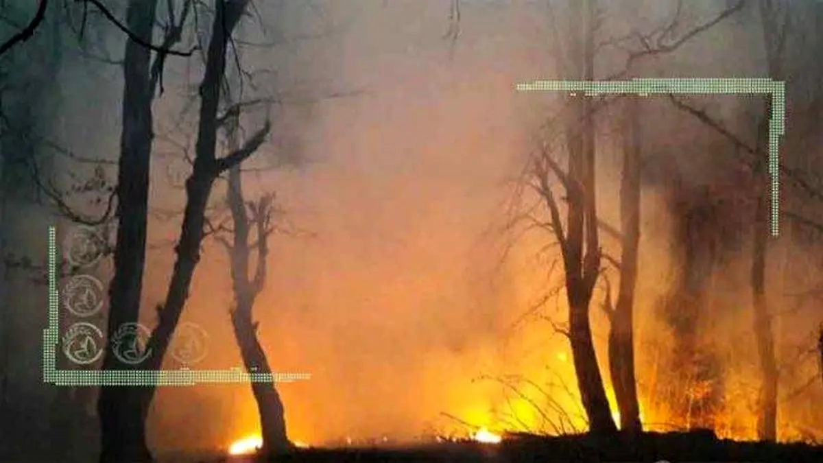 نکاتی درباره آتش سوزی جنگلها