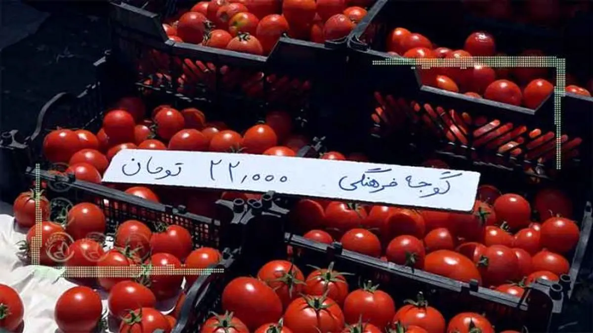 گرانی ناگهانی گوجه فرنگی