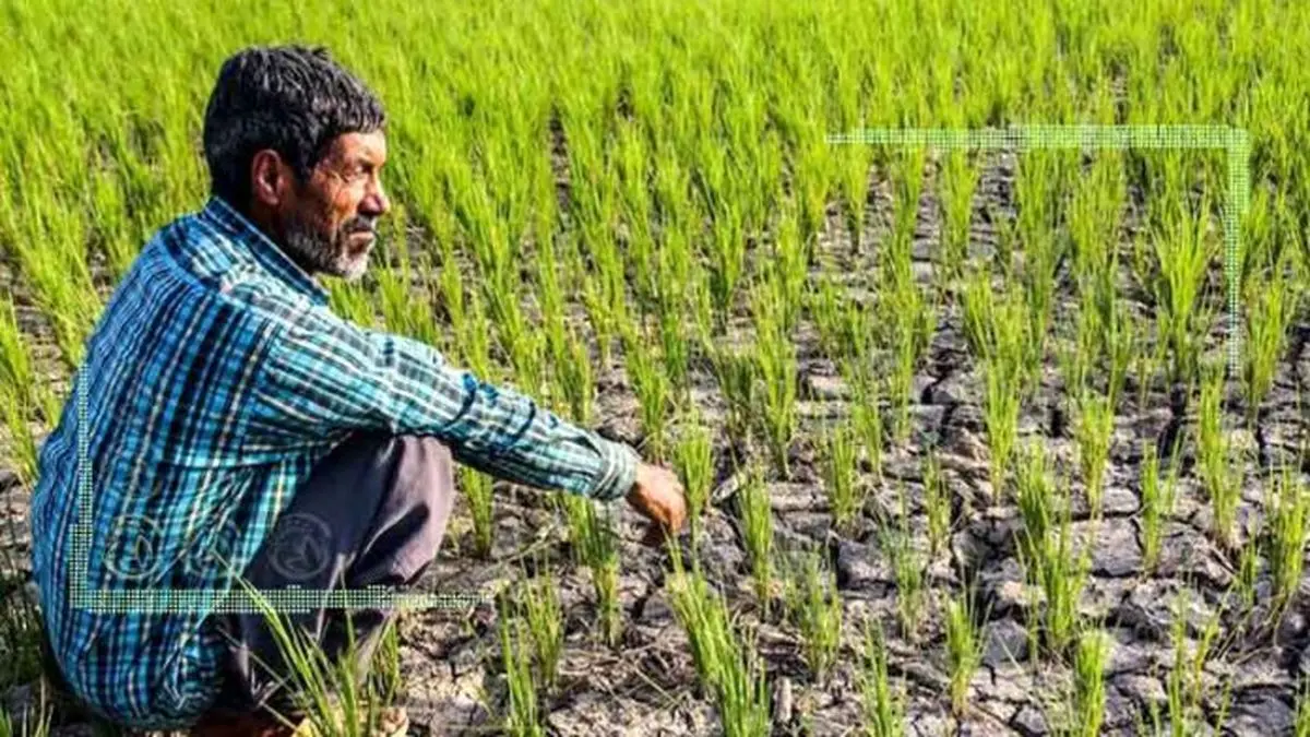 پیشروی خشکسالی این بار در مازندران