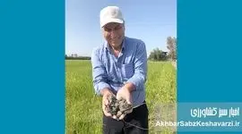 به استقبال روز جهانی خاک ۲۰۲۵؛ خاک‌های سالم برای شهرهای سالم