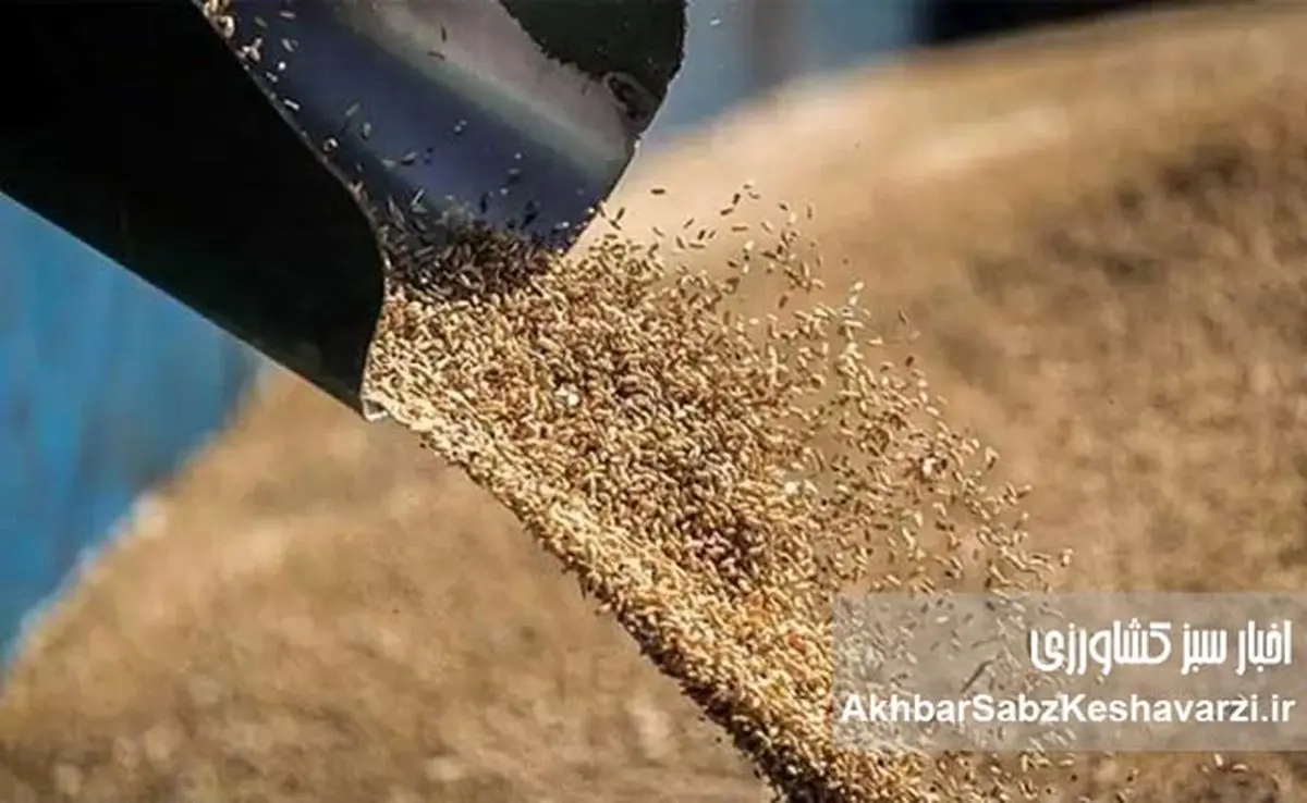 بذر فساد در نهاده‌ها؛ زنگ خطر برای امنیت غذایی و هشدار جدی به دولت و مجلس