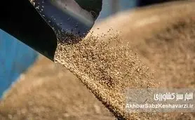 بذر فساد در نهاده‌ها؛ زنگ خطر برای امنیت غذایی و هشدار جدی به دولت و مجلس