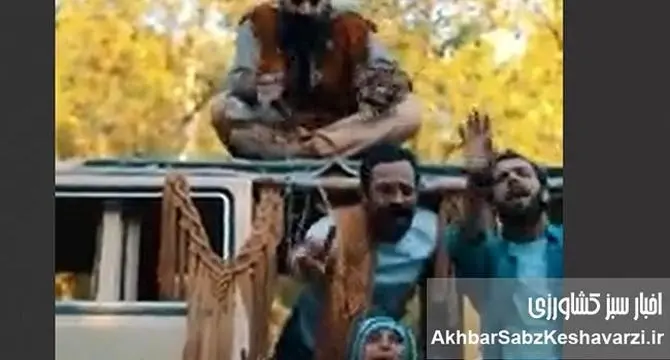 وقتی چی می‌خوای؟ جوابش سادست، ولی…+ ویدئو