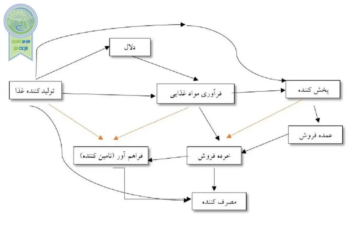 زنجیره‌های غذایی، شاهراه نجات حیات بشر