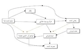 زنجیره‌های غذایی، شاهراه نجات حیات بشر