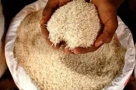 توزیع نامناسب برنج ادامه دارد