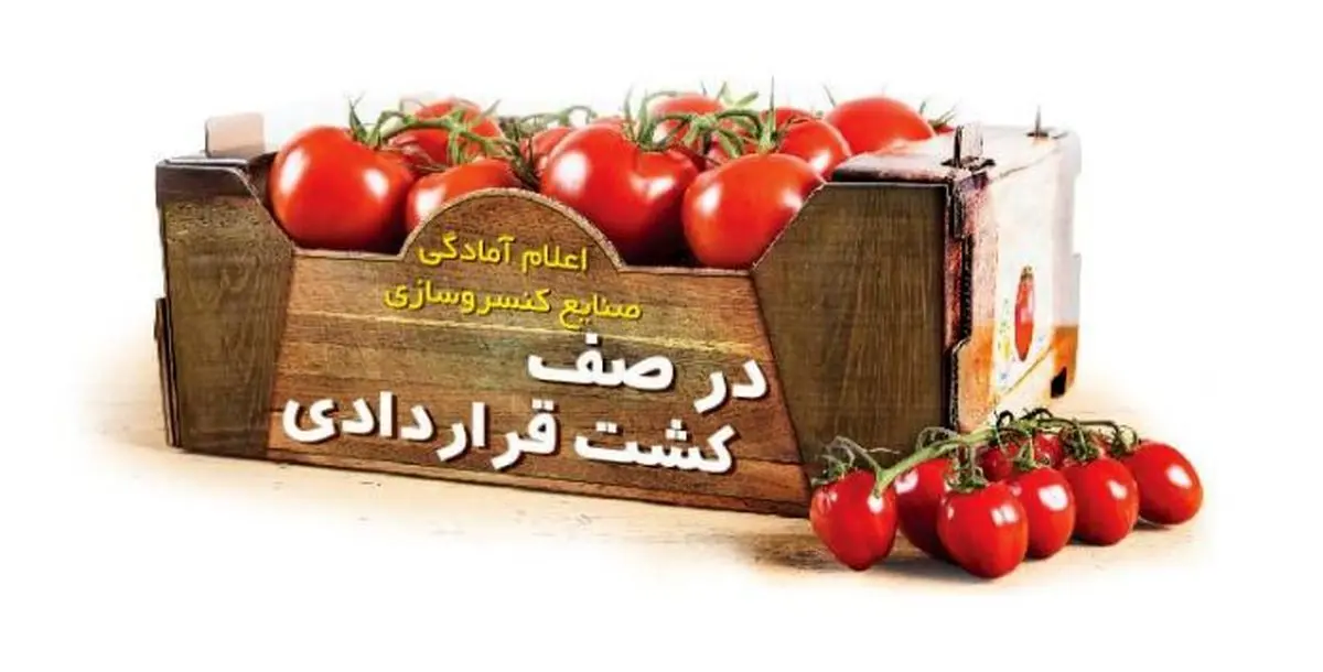 اعلام آمادگی صنایع کنسروسازی برای کشت قراردادی