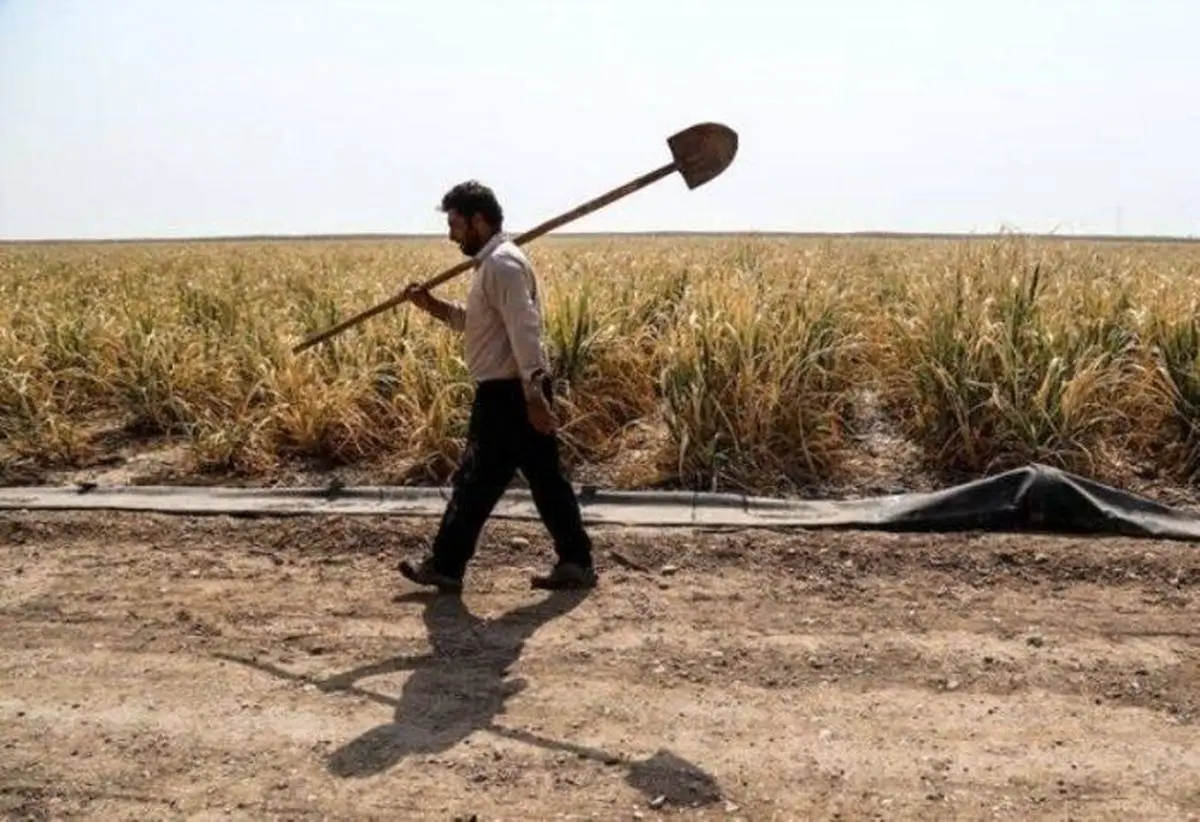 خسارات بالای کشاورزان از قطعی برق
