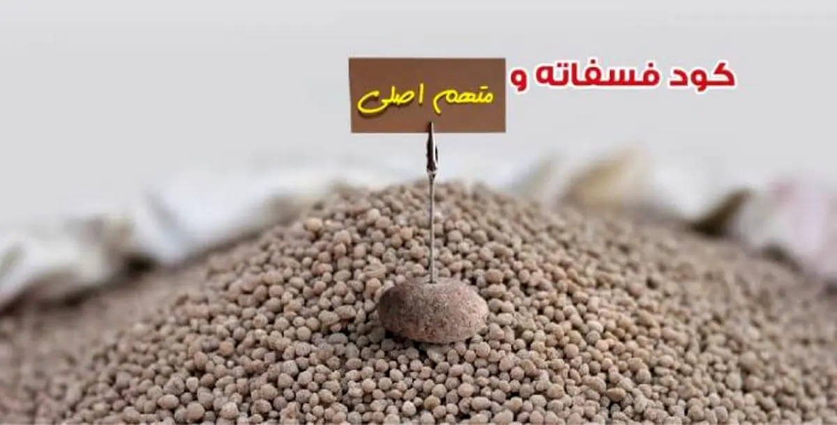 کود فسفاته و متهم اصلی