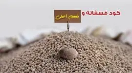 کود فسفاته و متهم اصلی