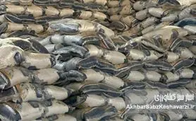 کشف انبار احتکار ۱۴۵ تن برنج وارداتی در جنوب تهران توسط پلیس امنیت اقتصادی