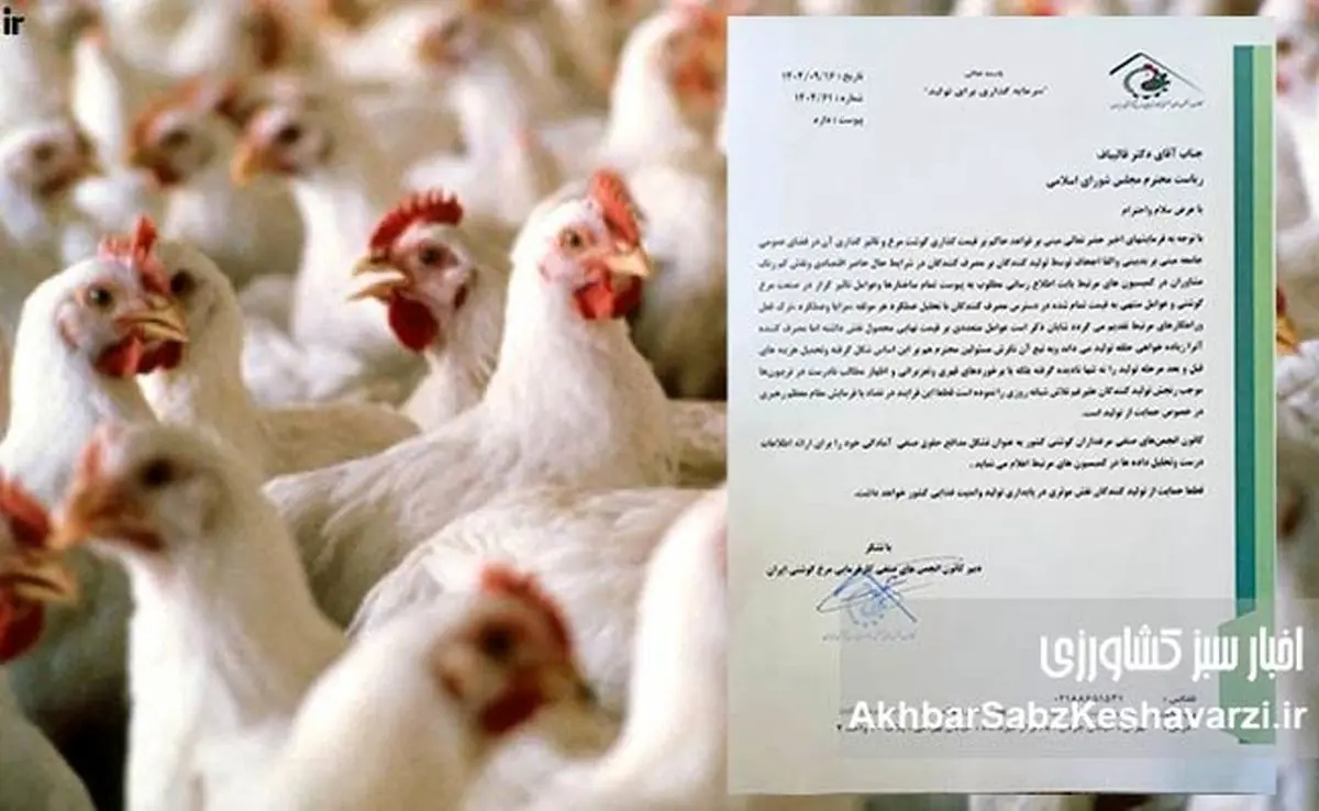 هشدار فعالان صنعت مرغ گوشتی به قالیباف؛ قیمت‌گذاری در آستانه بحران+ نامه