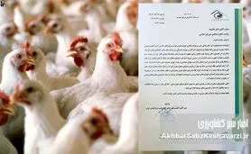 هشدار فعالان صنعت مرغ گوشتی به قالیباف؛ قیمت‌گذاری در آستانه بحران+ نامه