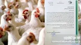 هشدار فعالان صنعت مرغ گوشتی به قالیباف؛ قیمت‌گذاری در آستانه بحران+ نامه
