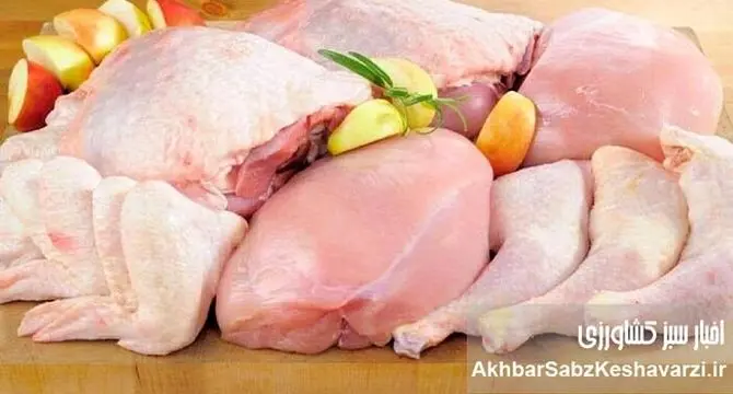 زیان مرغداران و نوسان قیمت مرغ؛ بازار مرغ در فشار کمبود نهاده‌ها