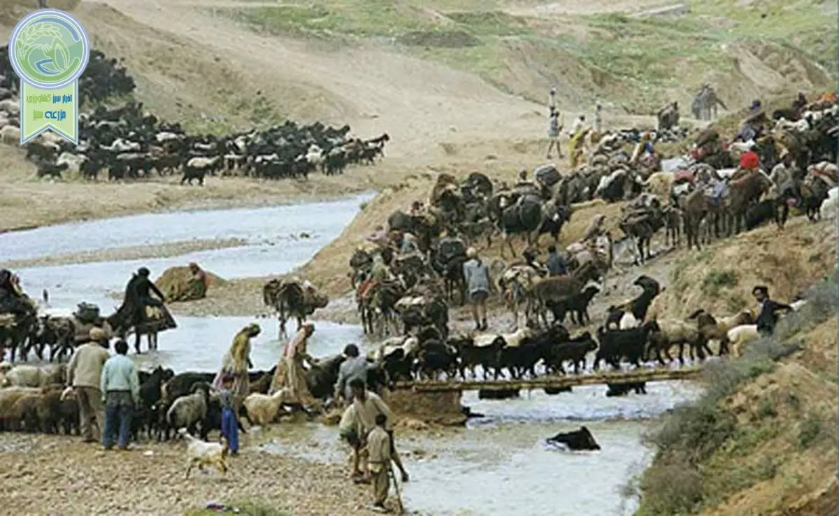 بخش هفتم: وقایع آغازین شروع برنامه های نوسازی کشاورزی ایران

