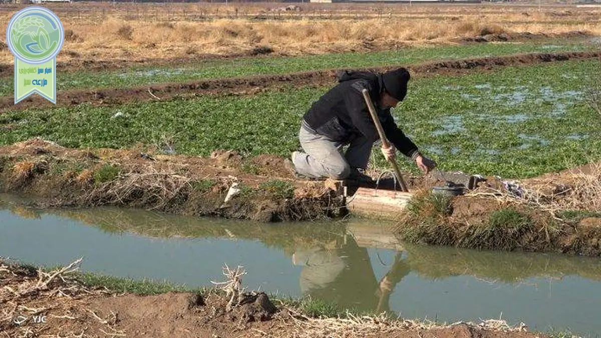 لزوم بهینه سازی سیستم آبیاری و استفاده از پساب در کشاورزی