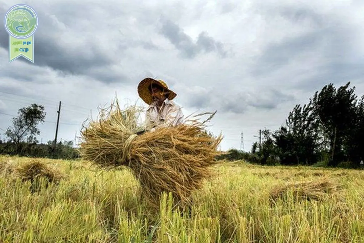 قیمت بالاتر، تله ای برای کشاورزان