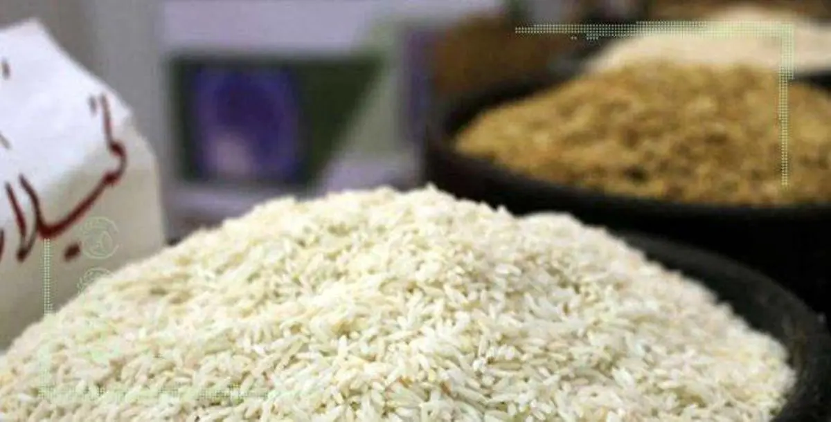 سود ۳۰ هزار تومانی دلالان از هر کیلو برنج