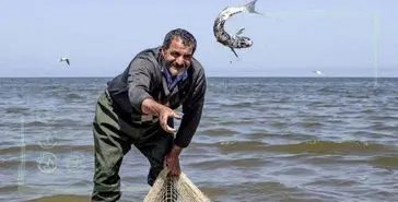 رشد ۱۱ درصدی صید ماهیان استخوانی در دریای خزر