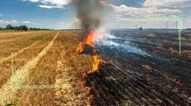 روشی جدید در جلوگیری از آتش زدن بقایای مزارع