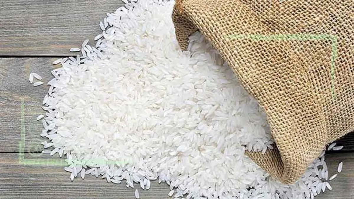 دپوی ۸۰ درصد برنج توسط دلالان و فروشگاه‌های زنجیره‌ای