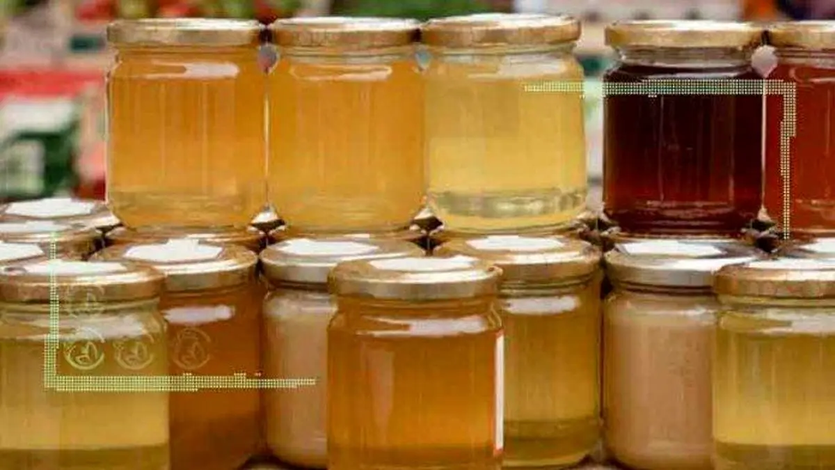 به روز نشدن استاندارد عسل و افزایش تولید شبه عسل