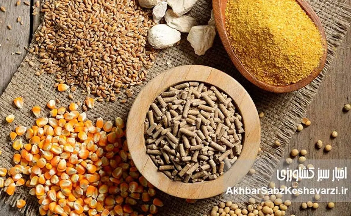 وزارت جهاد؛ عامل توقف تولید غذای سالم در کشور