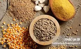 وزارت جهاد کشاورزی؛ عامل توقف تولید غذای سالم در کشور