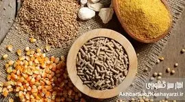 وزارت جهاد کشاورزی؛ عامل توقف تولید غذای سالم در کشور