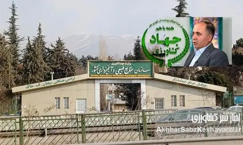 رسوایی حقوق نجومی منابع طبیعی: پاداش وزیر به مدیر پرحاشیه!+نامه