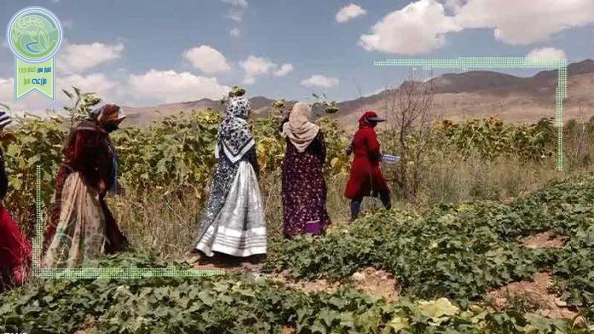 کارآفرینان روستایی چشم‌انتظار رفع موانع