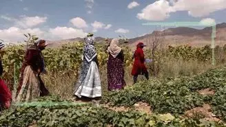 کارآفرینان روستایی چشم‌انتظار رفع موانع