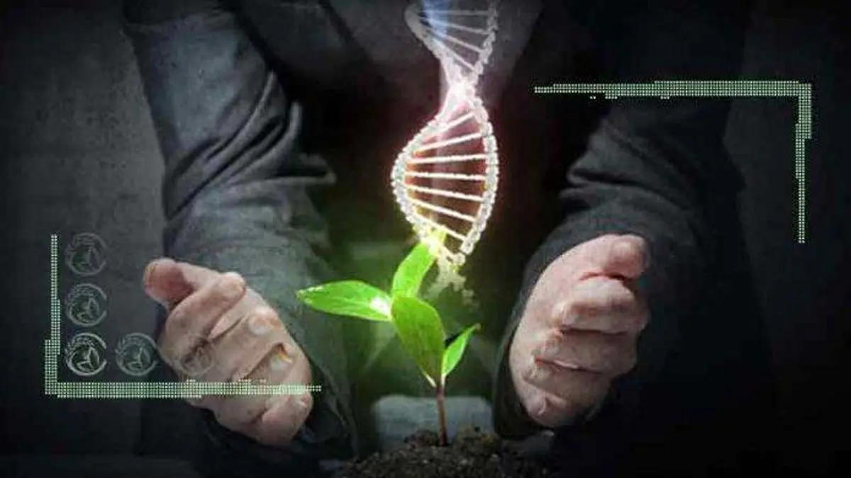 مجوز تولید محصولات با ویرایش ژنتیکی